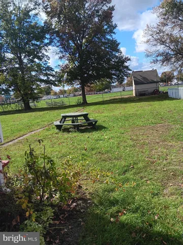 a view of a park with large trees