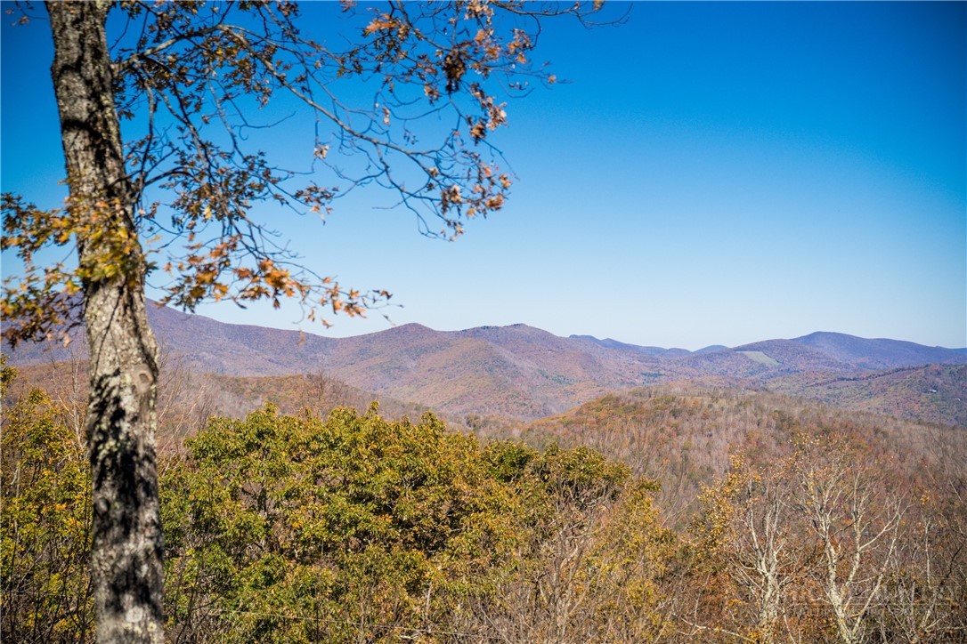 359 Running Deer Trail Boone, NC 28607 - Photo 29 of 35 Gallery Image 29