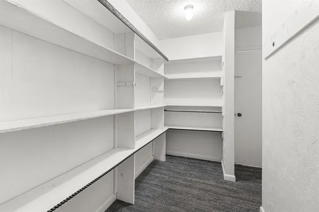 a view of a trees in a forest