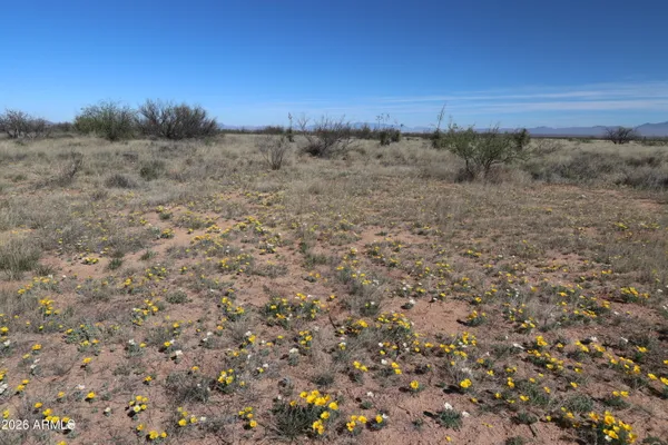 $16,000 | Tbd West Treasure Road West, Unit 11619256, Pearce, AZ 85625