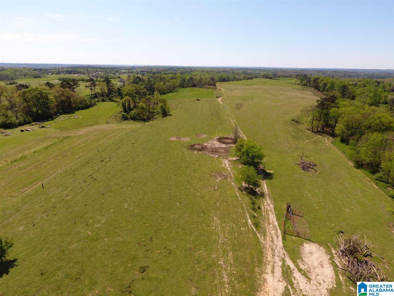 0 County Road 30, Unit 1 Clanton, AL 35045 - Photo 4 of 32