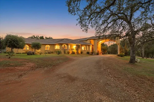a view of road with large trees