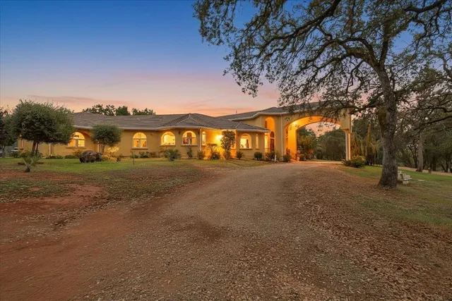 a view of road with large trees