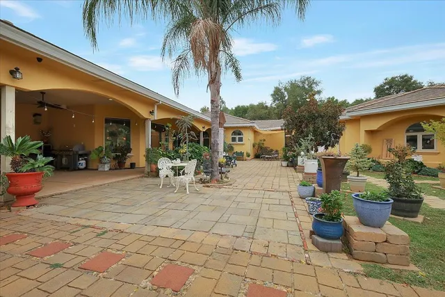 a view of a patio with plants and chairs