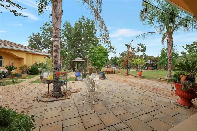 a view of a backyard with plants and a patio