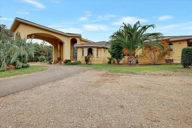a front view of house with a yard and palm trees