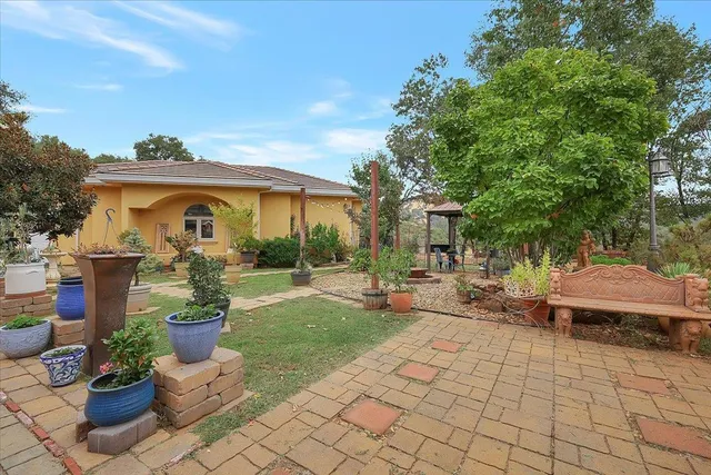 a view of a patio with table and chairs potted plants and a large tree