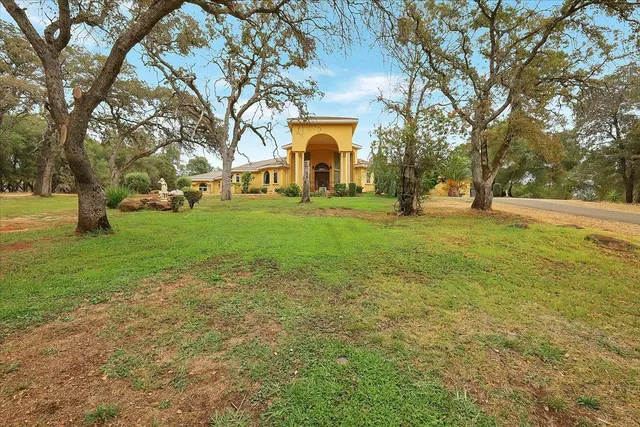 a view of a park with large trees