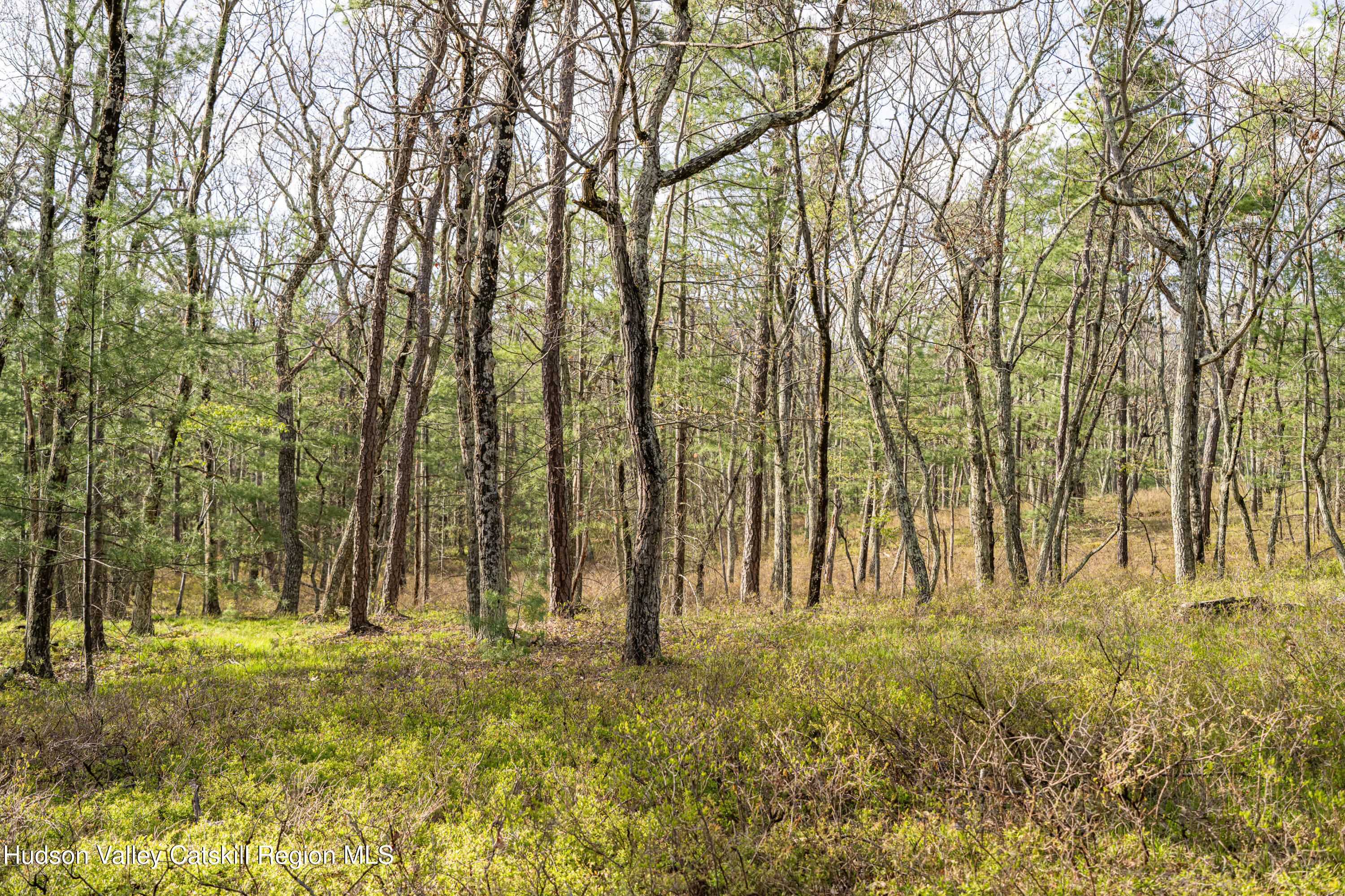 Tbd Tbd Ryan Road Kerhonkson, NY 12446 - Photo 12 of 27 2026-04-FreshAir-RyanLane-Kristian-Lawre
