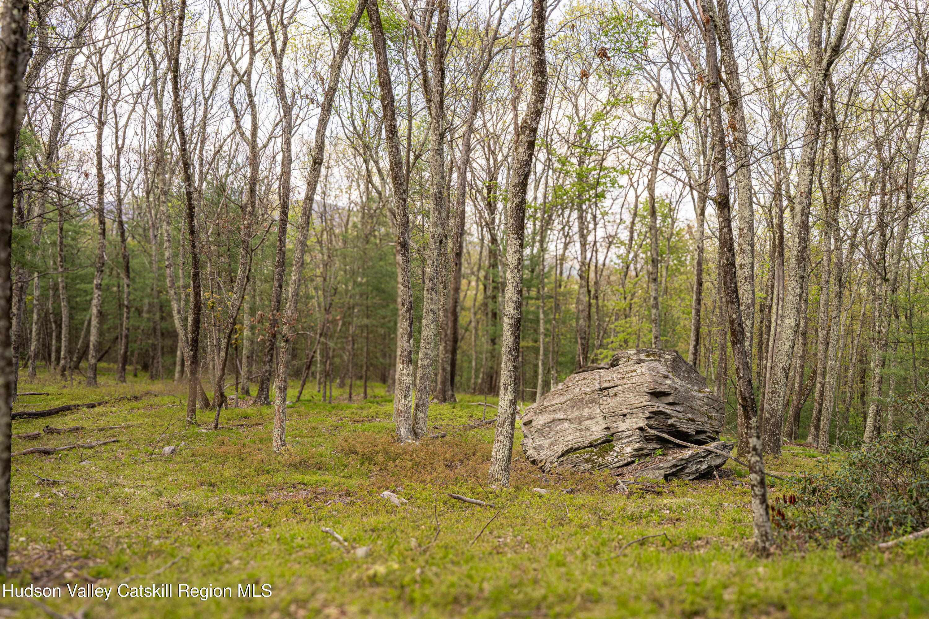 Tbd Tbd Ryan Road Kerhonkson, NY 12446 - Photo 14 of 27 2026-04-FreshAir-RyanLane-Kristian-Lawre