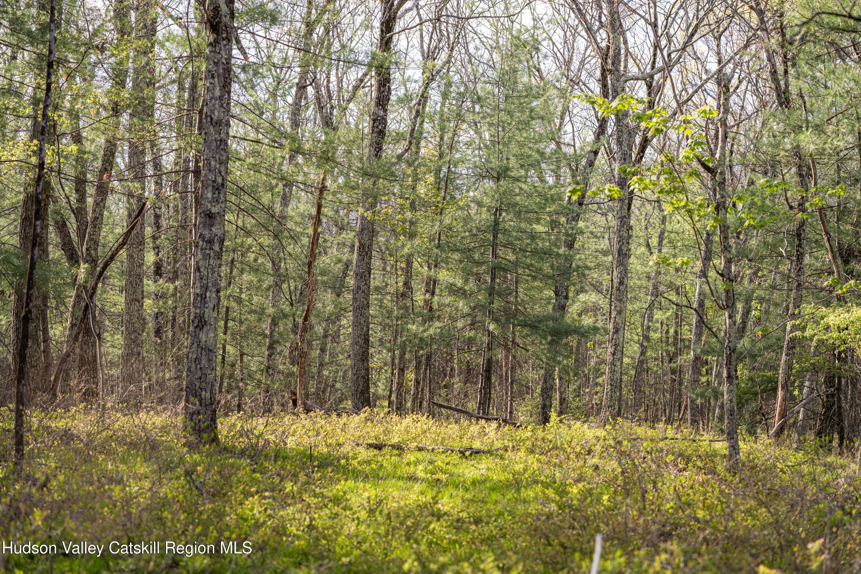 Tbd Tbd Ryan Road Kerhonkson, NY 12446 - Photo 15 of 27 2026-04-FreshAir-RyanLane-Kristian-Lawre
