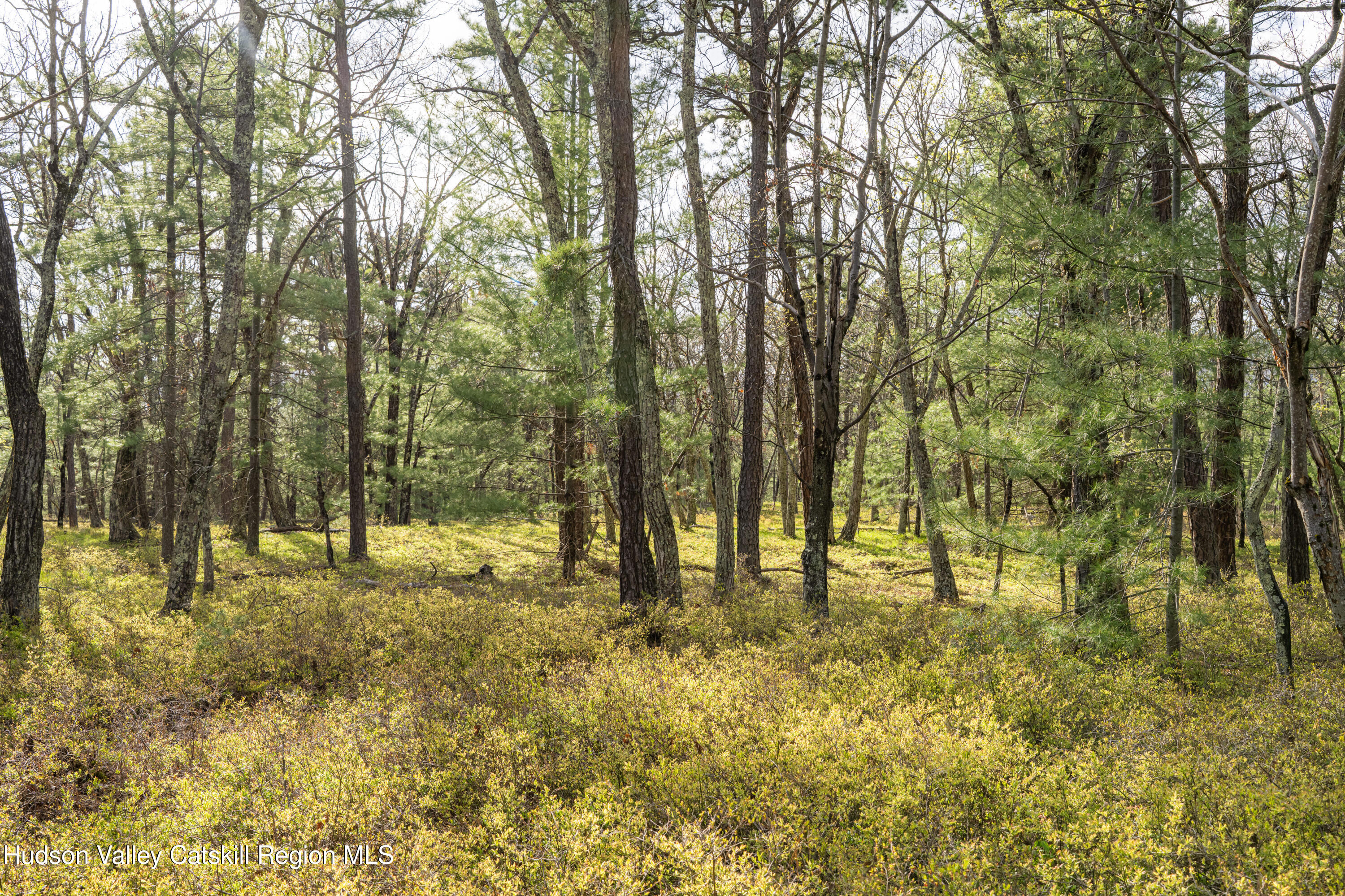 Tbd Tbd Ryan Road Kerhonkson, NY 12446 - Photo 16 of 27 2026-04-FreshAir-RyanLane-Kristian-Lawre