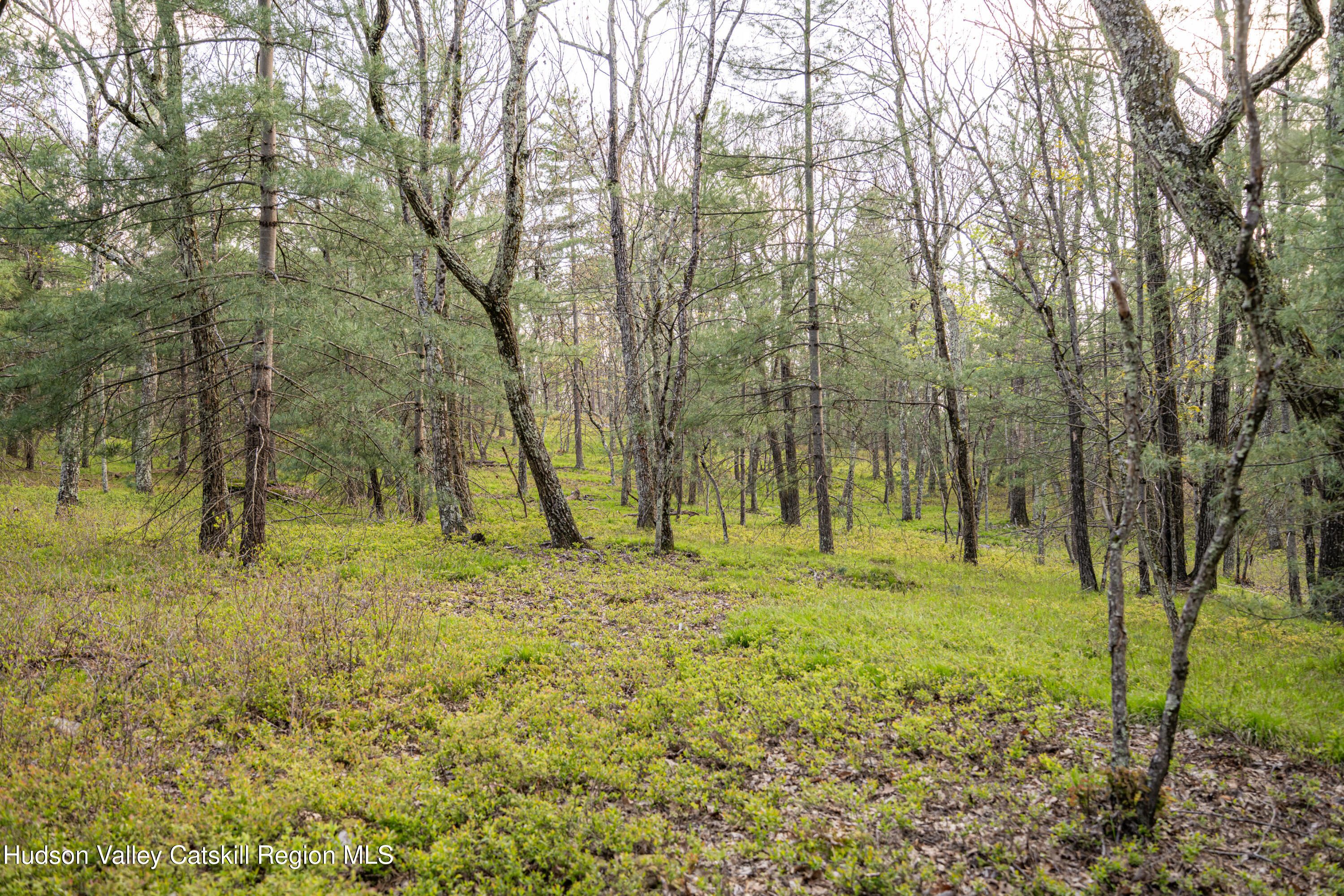 Tbd Tbd Ryan Road Kerhonkson, NY 12446 - Photo 2 of 27 2026-04-FreshAir-RyanLane-Kristian-Lawre