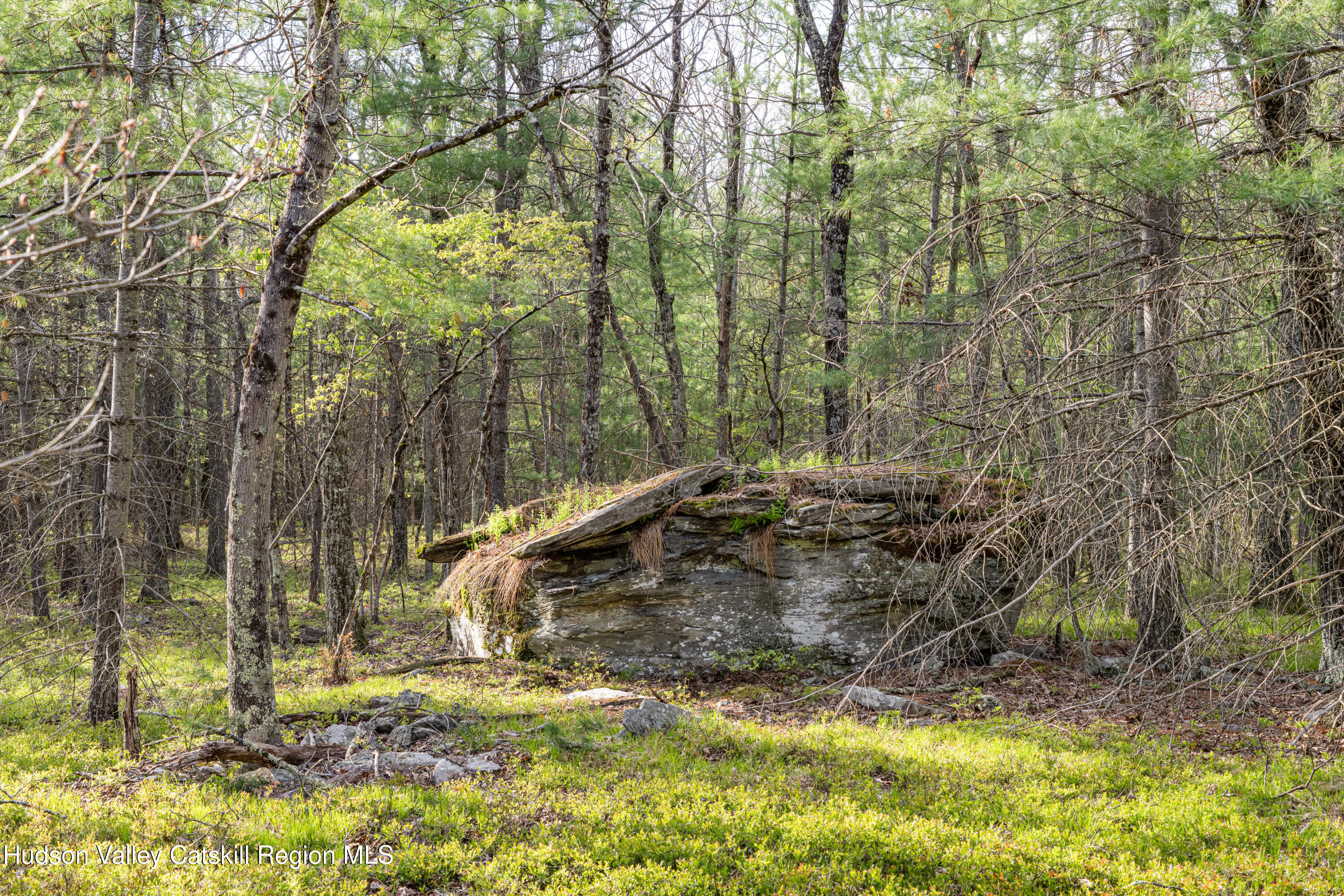 Tbd Tbd Ryan Road Kerhonkson, NY 12446 - Photo 3 of 27 2026-04-FreshAir-RyanLane-Kristian-Lawre