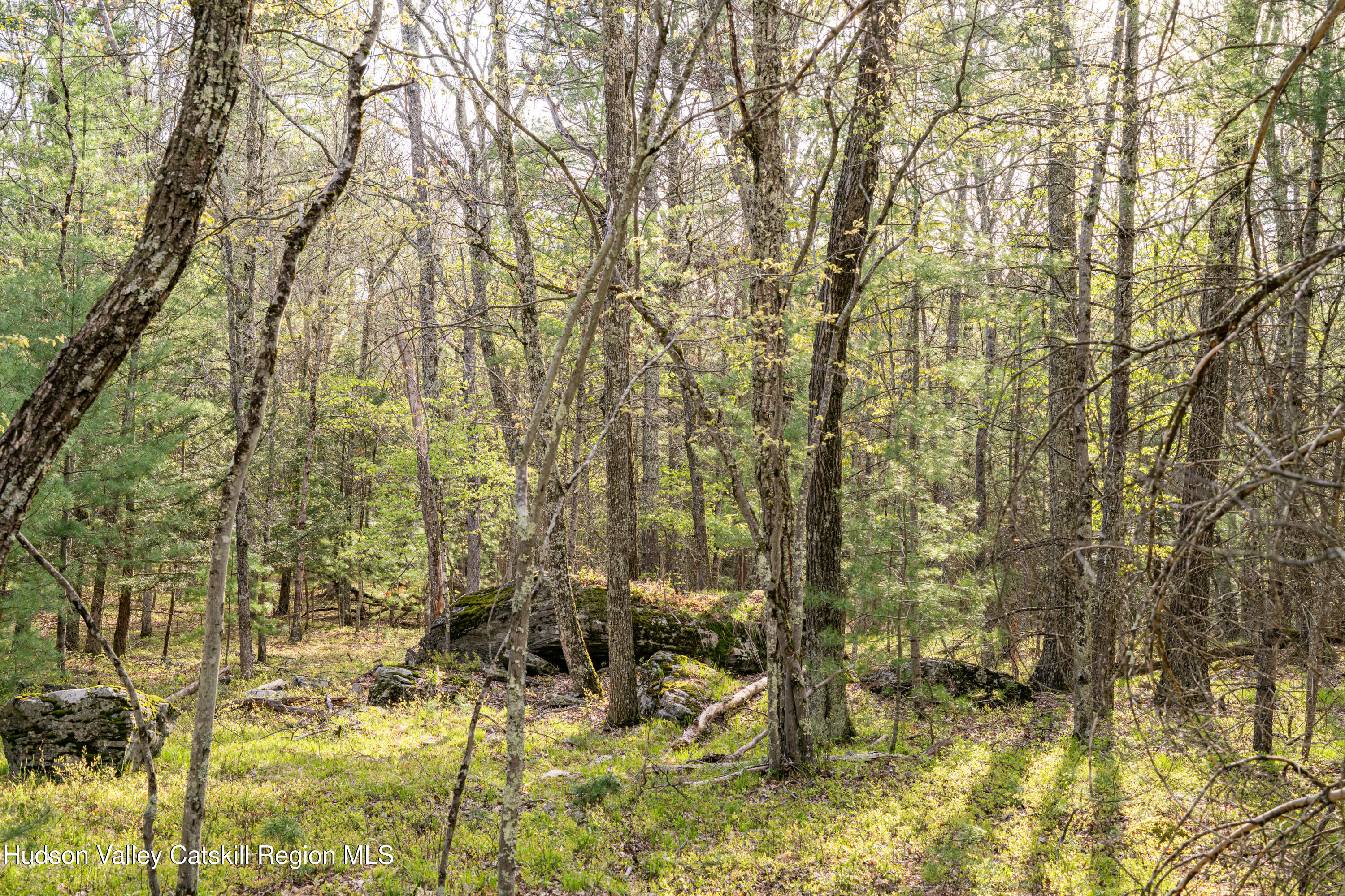 Tbd Tbd Ryan Road Kerhonkson, NY 12446 - Photo 4 of 27 2026-04-FreshAir-RyanLane-Kristian-Lawre