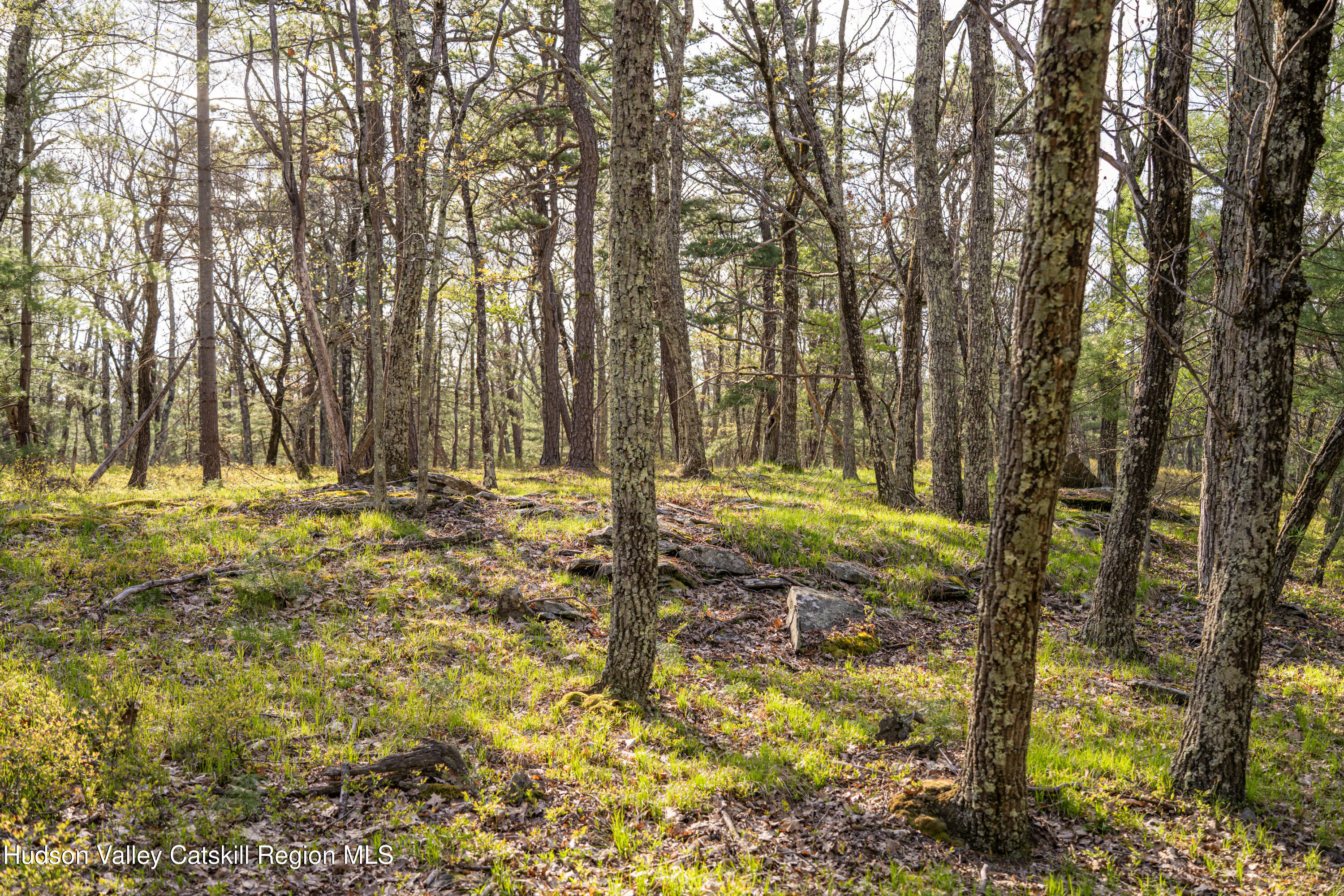 Tbd Tbd Ryan Road Kerhonkson, NY 12446 - Photo 5 of 27 2026-04-FreshAir-RyanLane-Kristian-Lawre