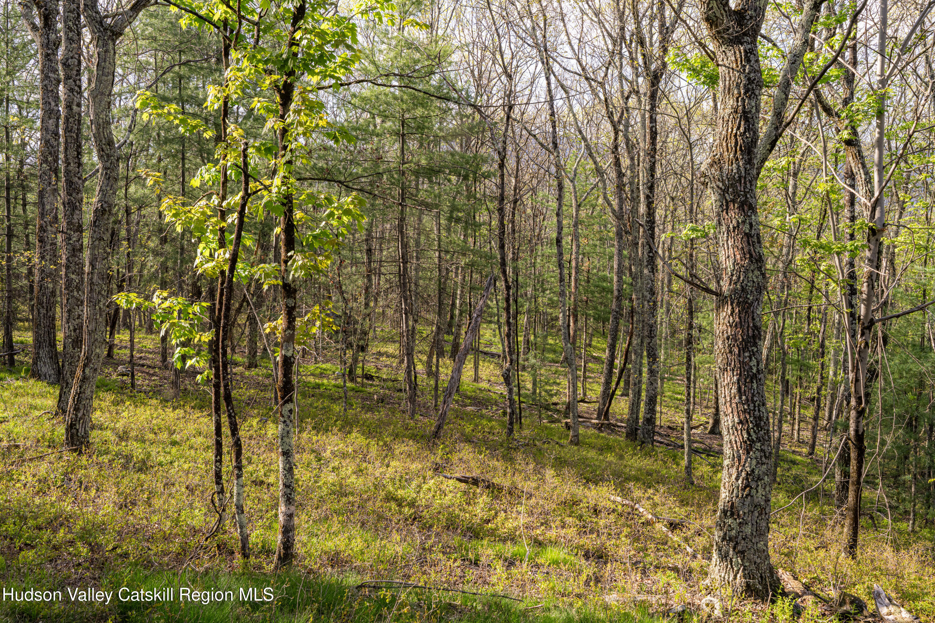 Tbd Tbd Ryan Road Kerhonkson, NY 12446 - Photo 10 of 27 2026-04-FreshAir-RyanLane-Kristian-Lawre