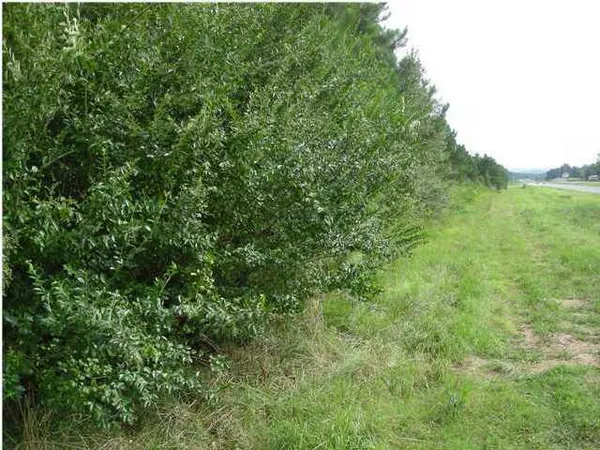 $120,000 | 0 Hwy 27 Trion Ga 30753, Unit LOTS 60 61 62 & 63, Trion, GA 30753