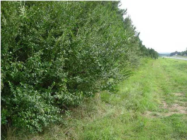 $120,000 | 0 Hwy 27 Trion Ga 30753, Unit LOTS 60 61 62 & 63, Clewiston, FL 33440