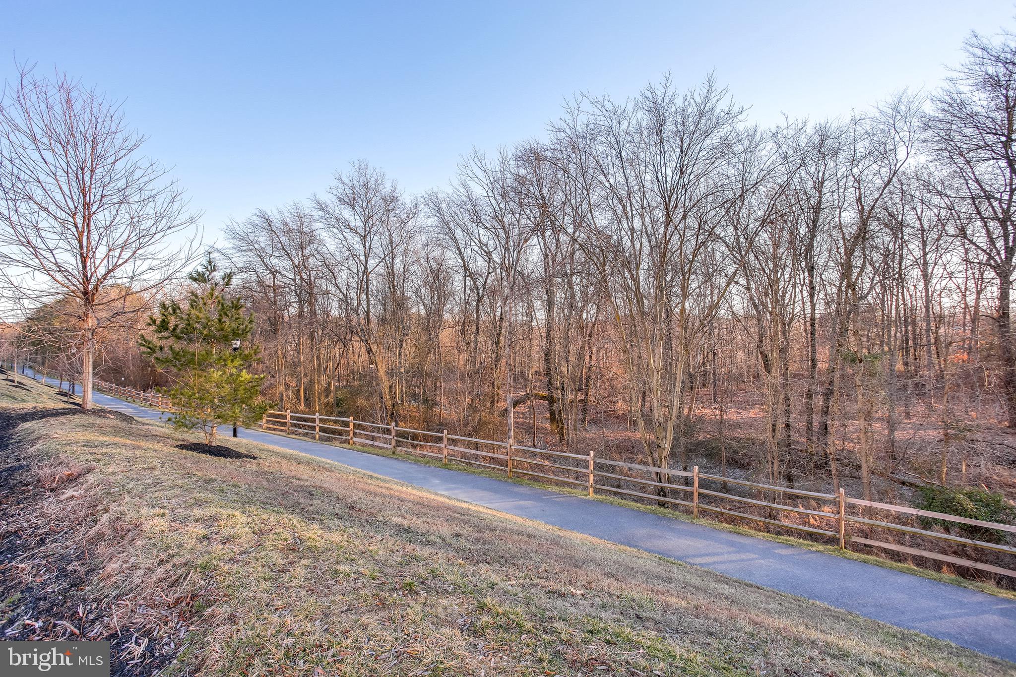 7046 Foxton Way Hanover, MD 21076 - Photo 31 of 39 Views of the Beautiful Woods.