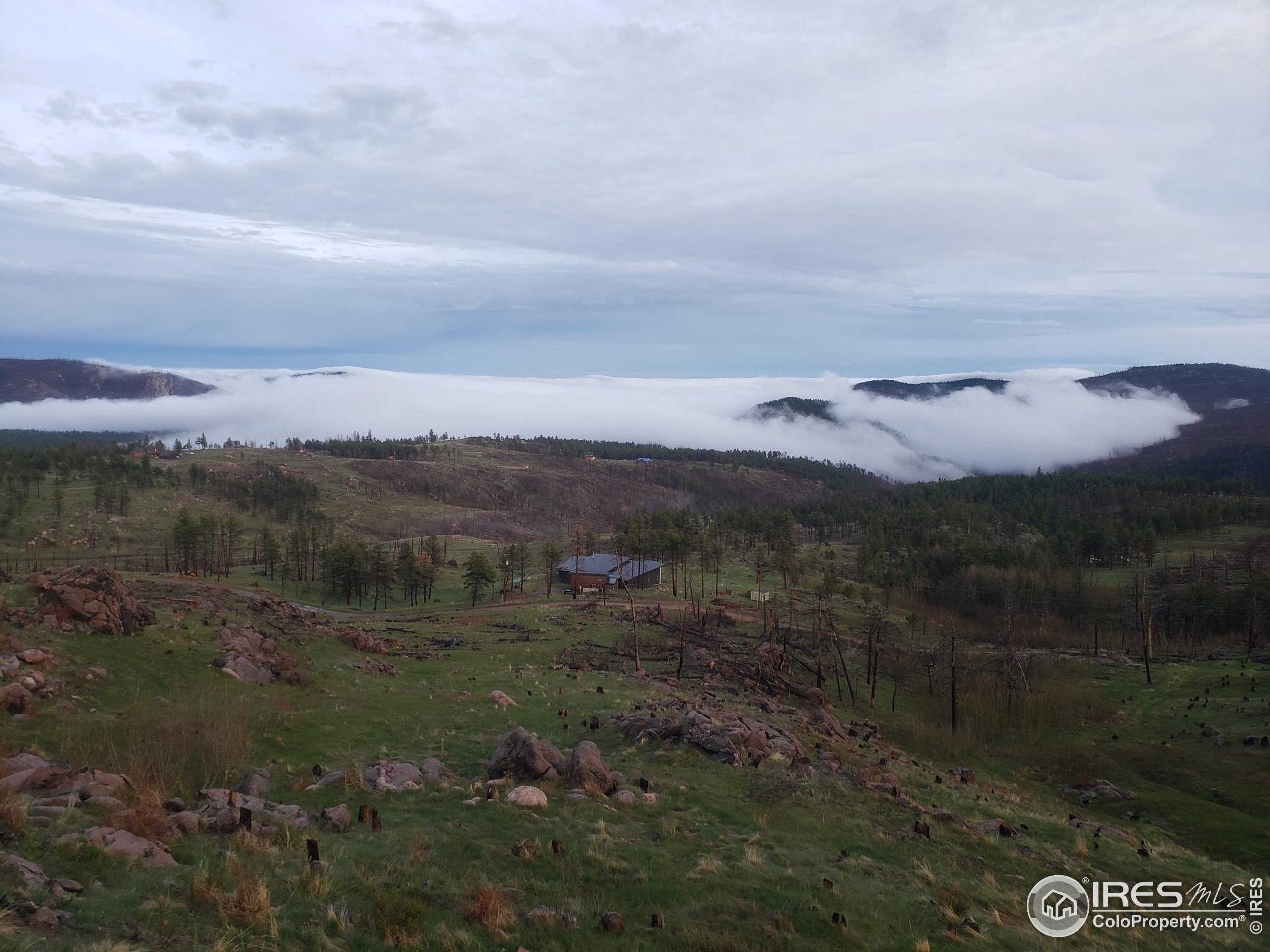 4119 Davis Ranch Road Bellvue, CO 80512 - Photo 4 of 40 a view of lake with mountain