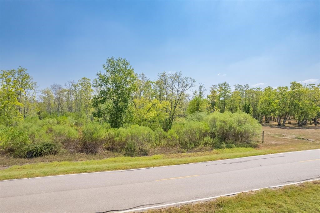 22611 Chenango Lake Drive Angleton, TX 77515 - Photo 4 of 6