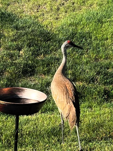 a view of a house with snow on the road
