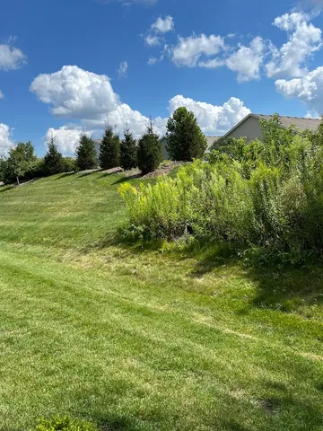 a view of a field with a big yard
