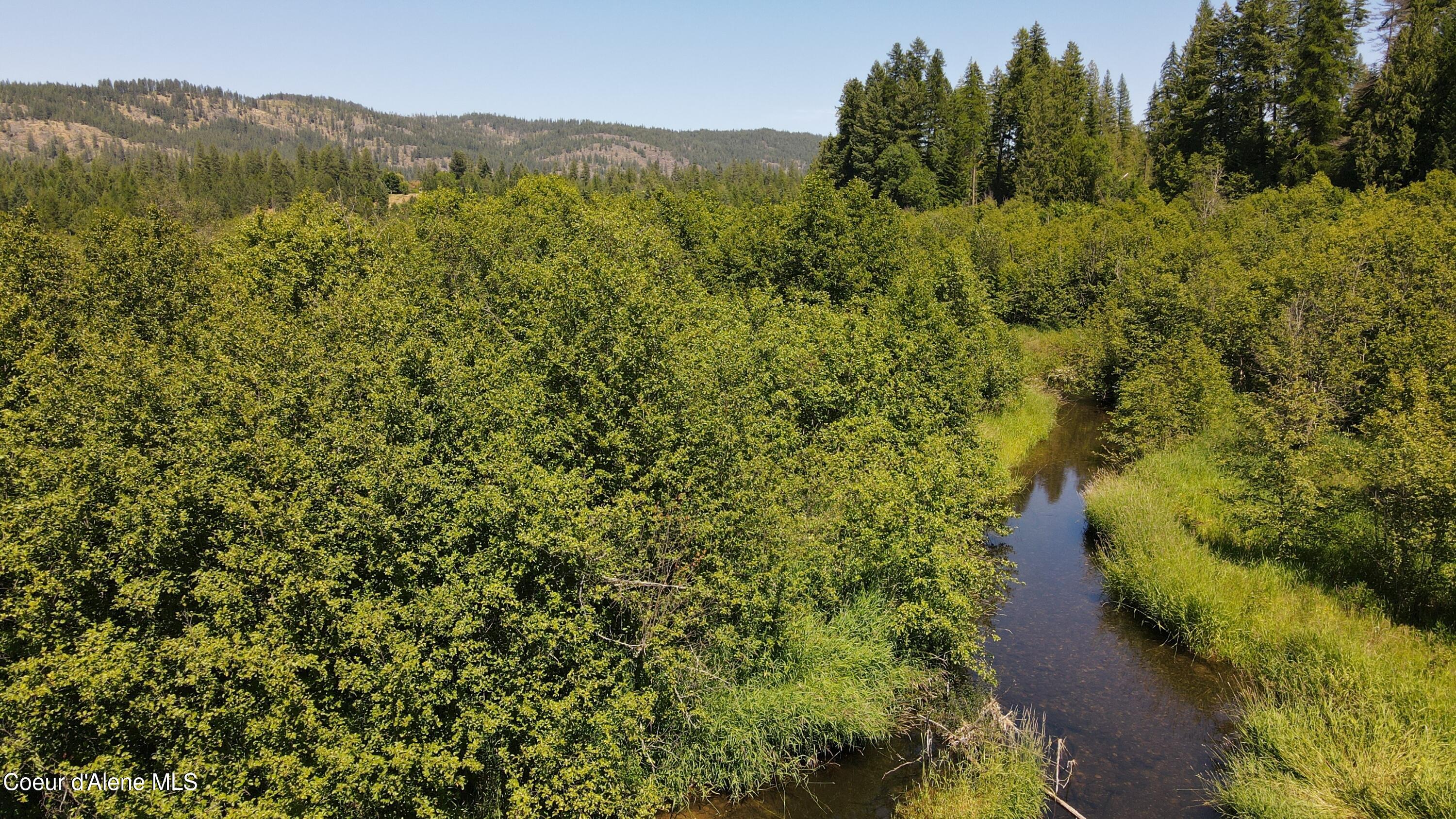 3216 Dufort Road Sagle, ID 83860 - Photo 11 of 99 dji_fly_20250629_143304_712_175123774227