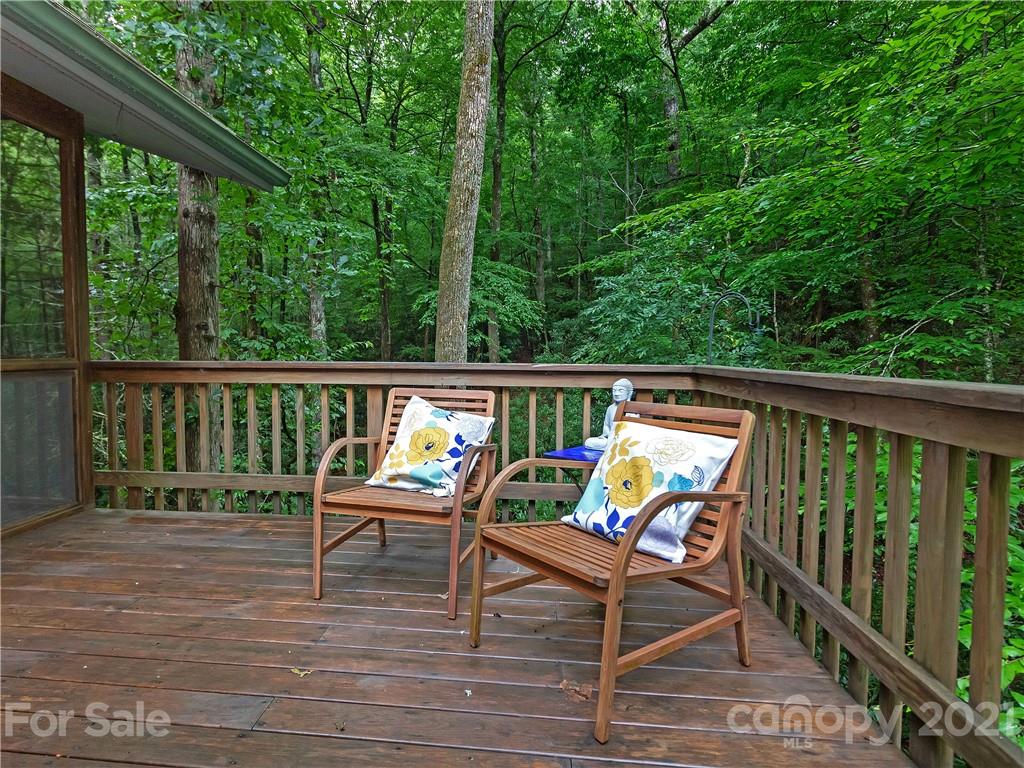 512 Robin Hood Road Brevard, NC 28712 - Photo 21 of 45 Gallery Image 21