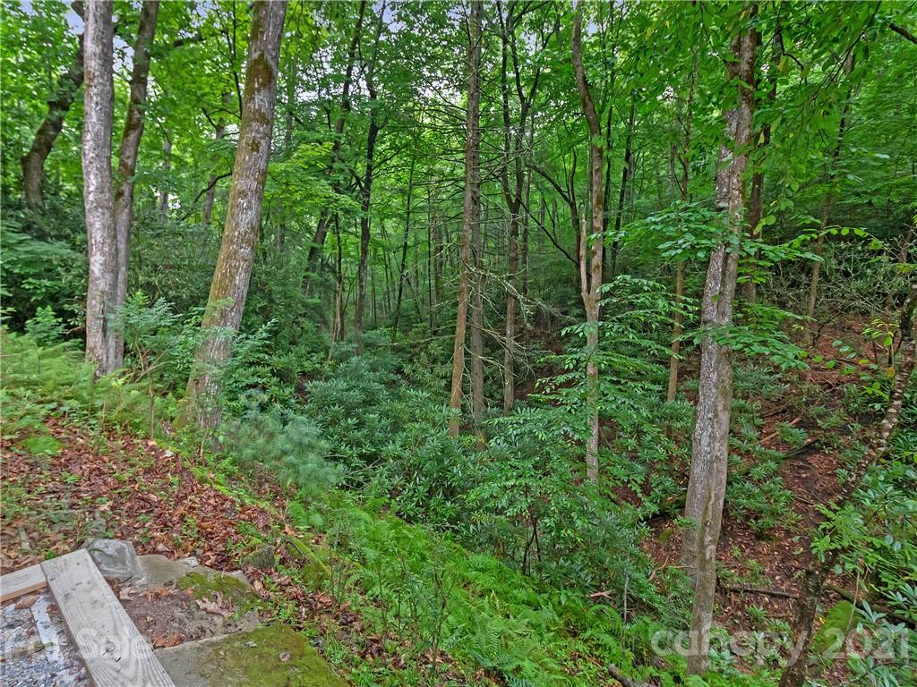 512 Robin Hood Road Brevard, NC 28712 - Photo 40 of 45 Gallery Image 40