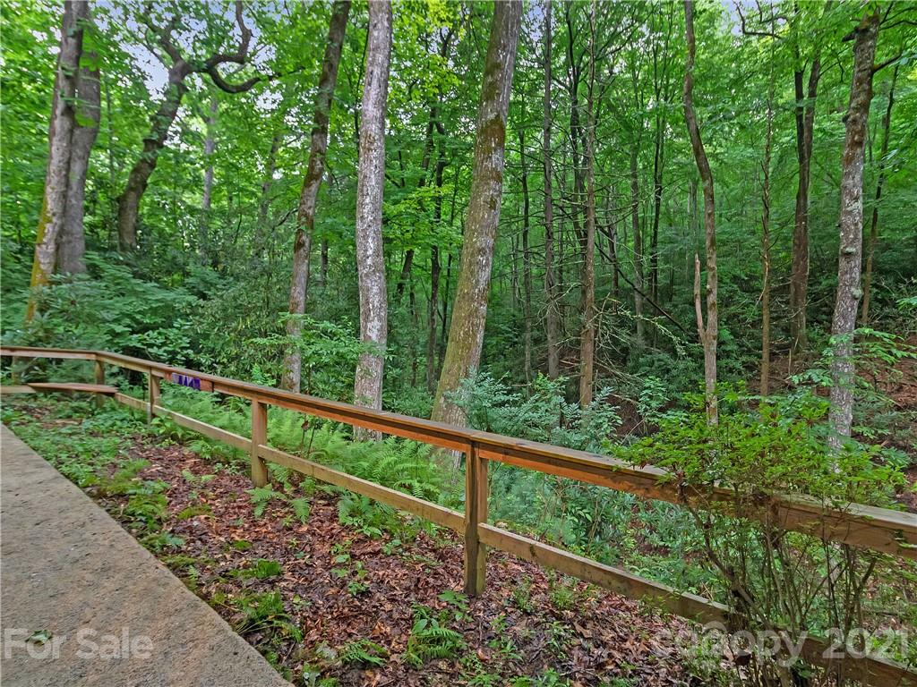512 Robin Hood Road Brevard, NC 28712 - Photo 41 of 45 Gallery Image 41