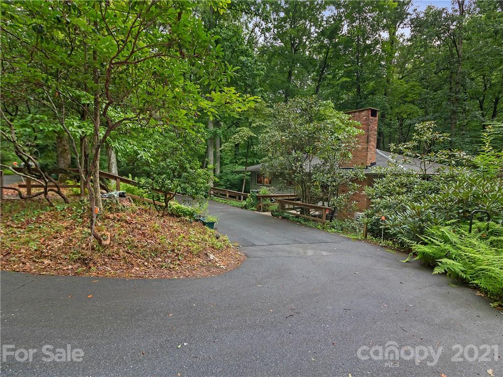 512 Robin Hood Road Brevard, NC 28712 - Photo 45 of 45 Gallery Image 45