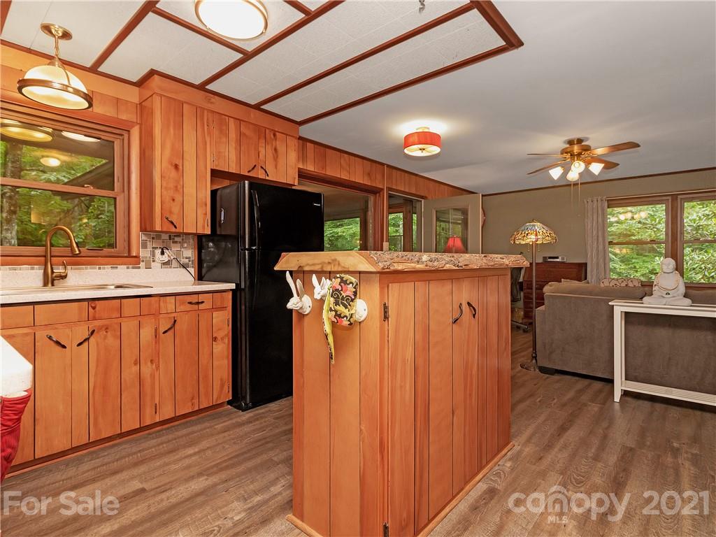 512 Robin Hood Road Brevard, NC 28712 - Photo 10 of 45 Gallery Image 10