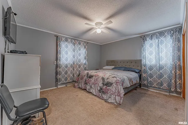 $150,000 | 621 North Vine Street, Mount Pulaski, IL 62548