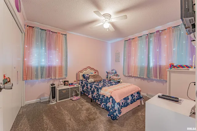 $150,000 | 621 North Vine Street, Mount Pulaski, IL 62548