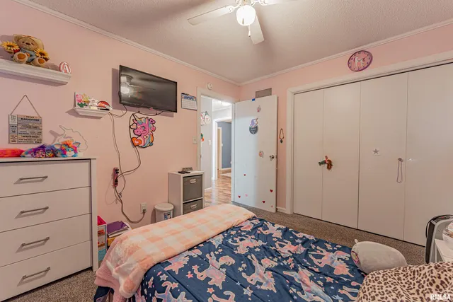 $150,000 | 621 North Vine Street, Mount Pulaski, IL 62548