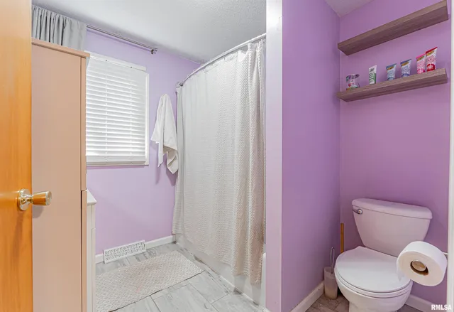 $150,000 | 621 North Vine Street, Mount Pulaski, IL 62548