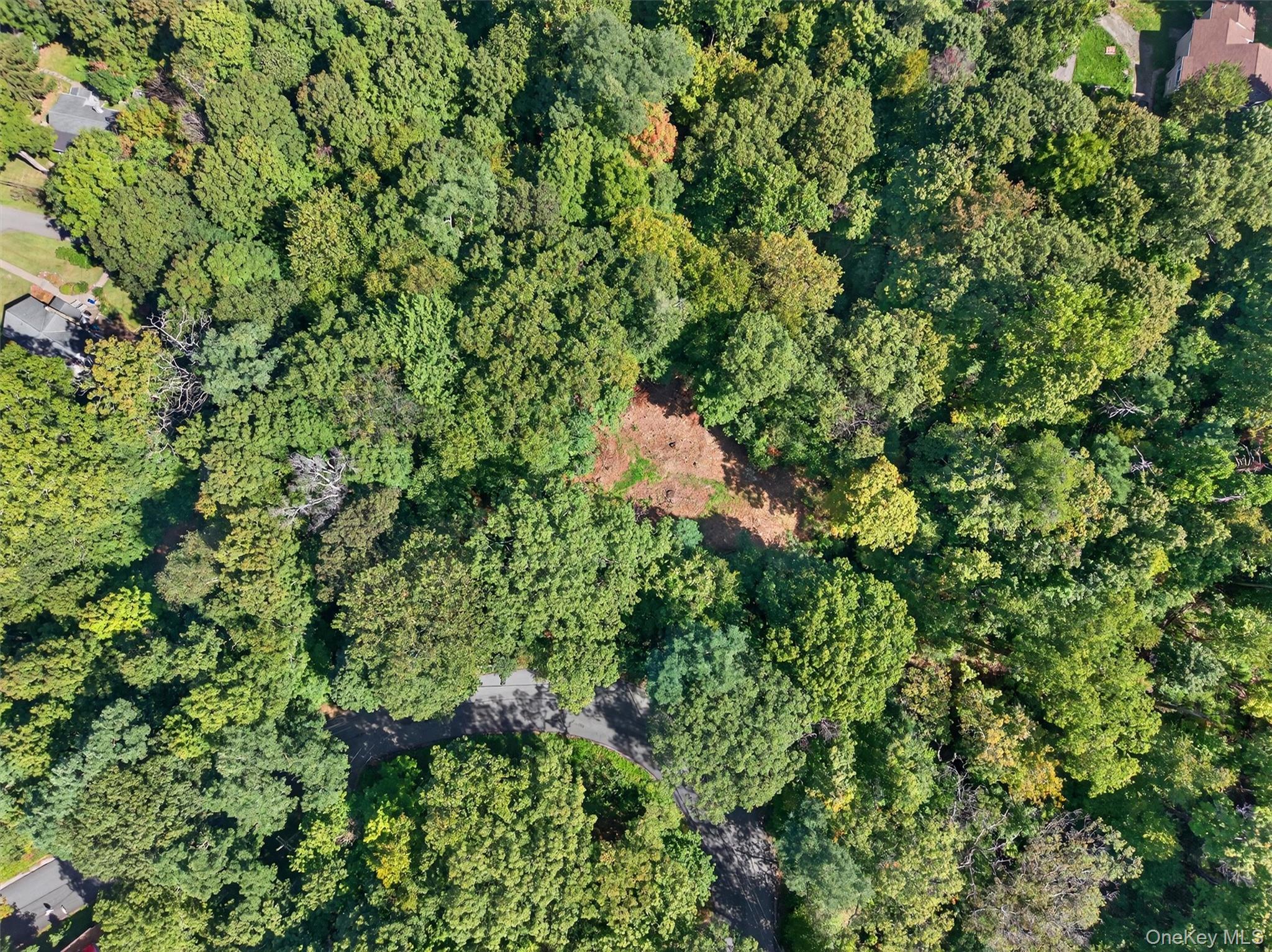 331 Mountain Lodge Road Blooming Grove, NY 10950 - Photo 48 of 50 Aerial view of property's location with a forest