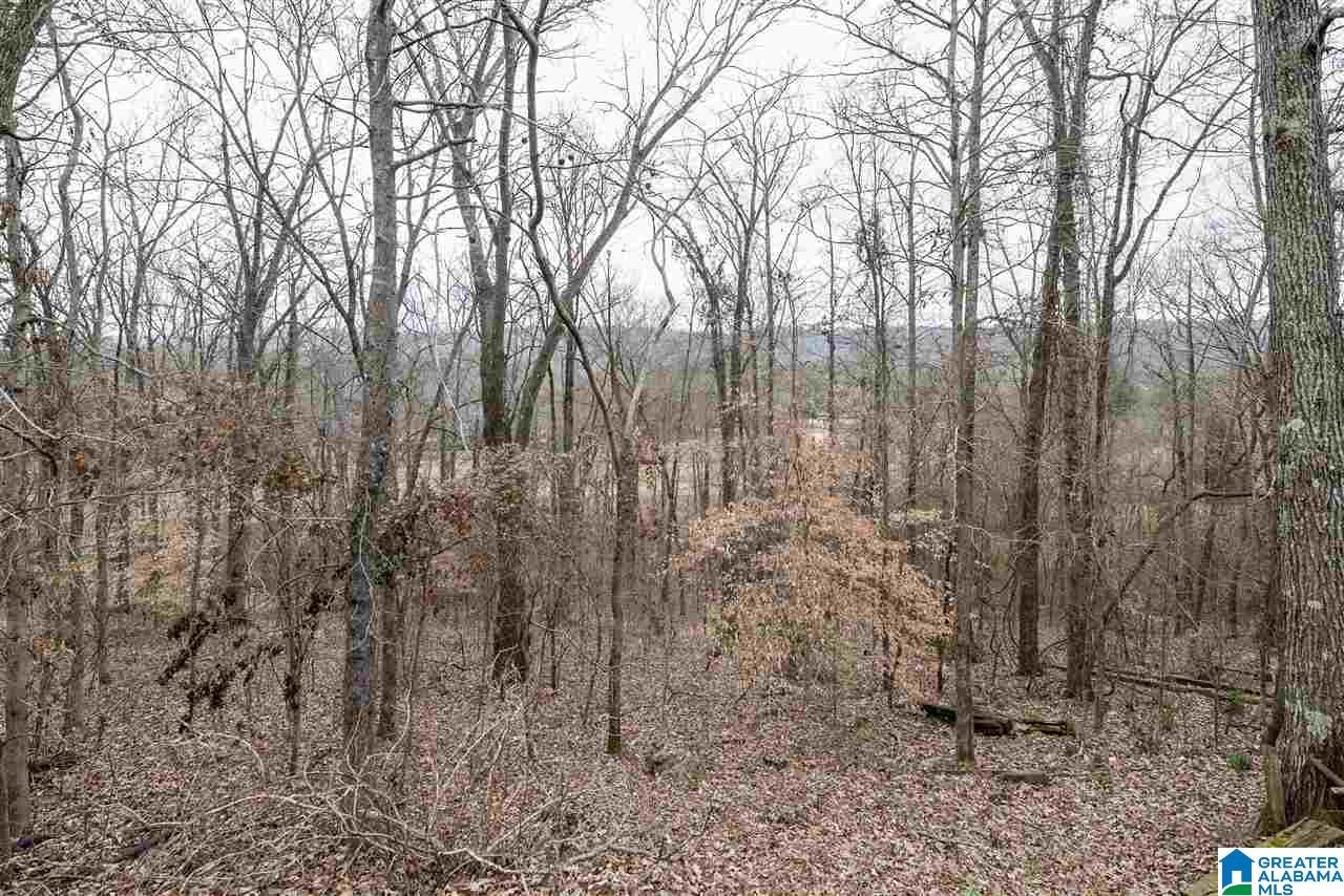 1198 Berwick Road Birmingham, AL 35242 - Photo 36 of 37