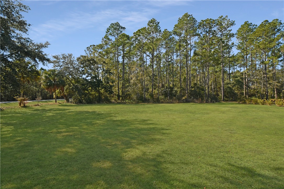 1021 Kyles Loop Northeast Townsend, GA 31331 - Photo 4 of 28