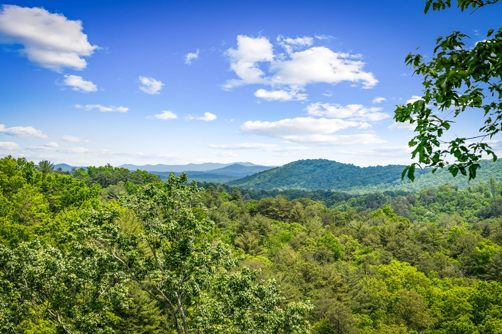 379 Dream Catcher Blue Ridge Blue Ridge, GA 30513 - Photo 2 of 28 a view of a city with lush green forest