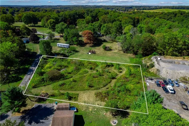 a view of a yard with a forest