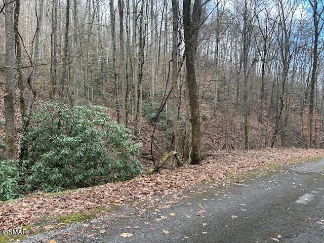 14 Black Walnut Flats Road Sevierville, TN 37862 - Photo 6 of 15 Gallery Image 6