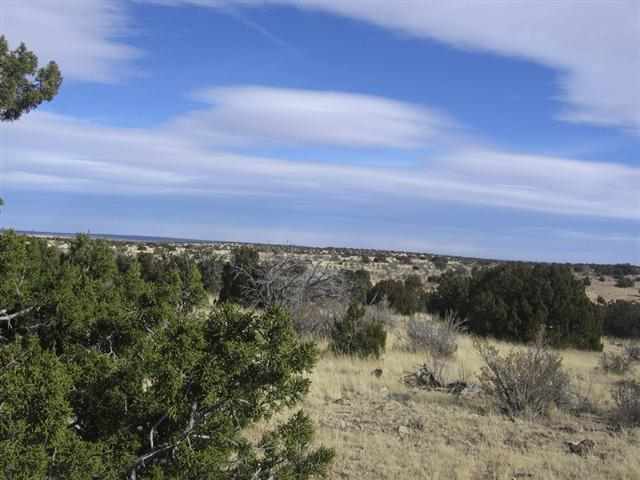 5045 Cottontail Road Heber, AZ 85928 - Photo 1 of 7