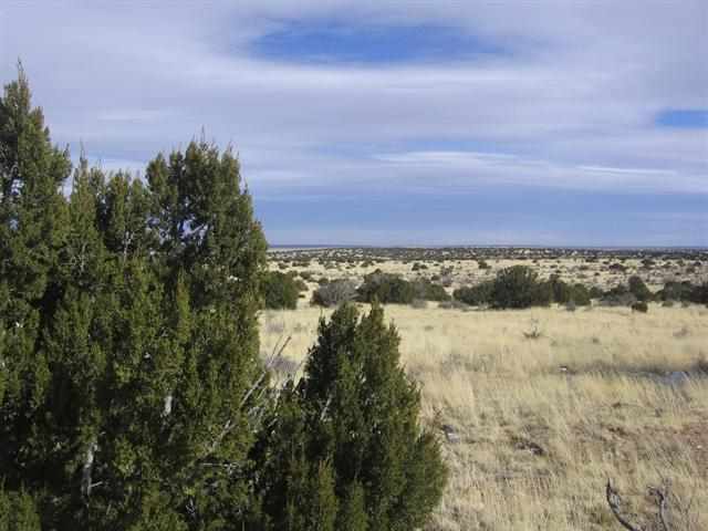 5045 Cottontail Road Heber, AZ 85928 - Photo 2 of 7