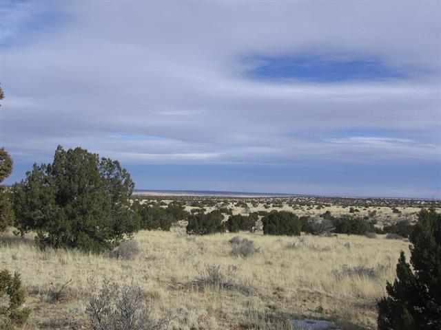 5045 Cottontail Road Heber, AZ 85928 - Photo 3 of 7