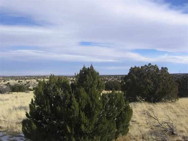 5045 Cottontail Road Heber, AZ 85928 - Photo 4 of 7