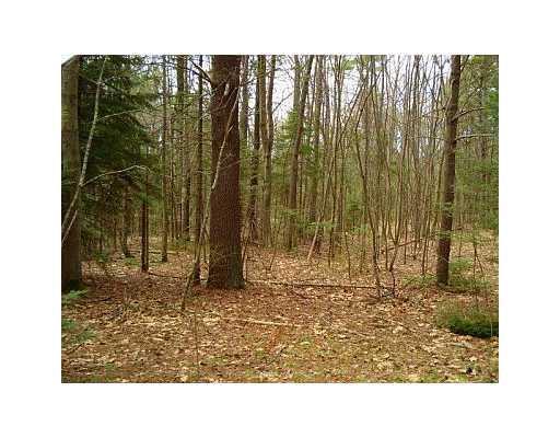 0 Riverlocks Road Kennebunk, ME 04043 - Photo 2 of 2 Land/Lot.