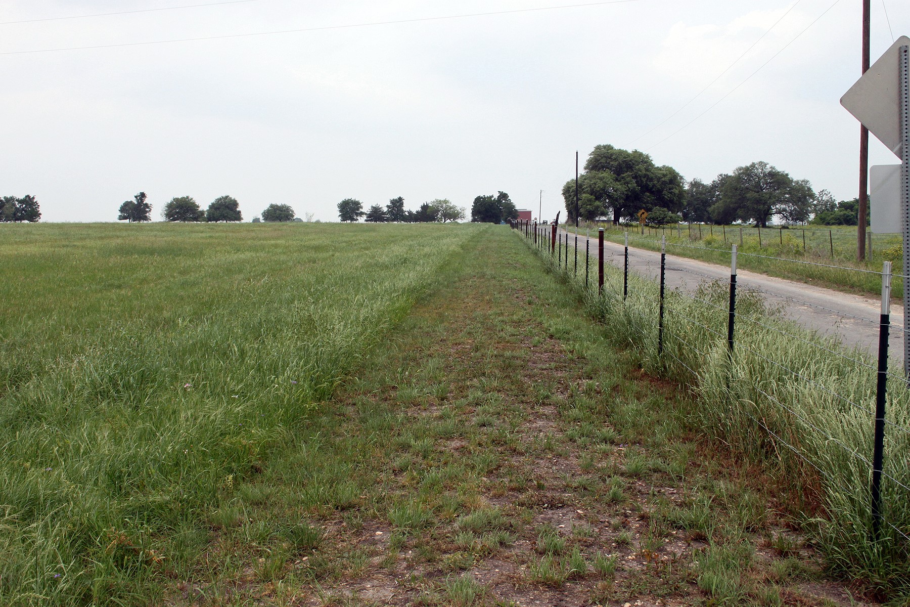 0 Brushy Branch Road Lockhart, TX 78644 - Photo 3 of 19 A verdant pasture meets a rural road, bordered by a simple fence.